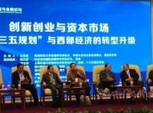 2015中国产业与金融论坛