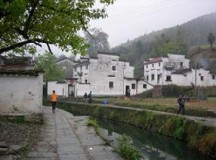 乡村是中国五千年文明之载体、文化之根系
