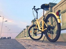 ofo：一堂昂贵的新经济公开课