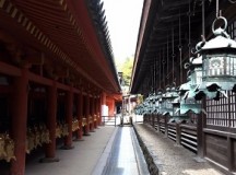 日本奈良公园一瞥