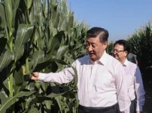 总书记为何倡导农民合作社?之中国农民专业合作社面面观
