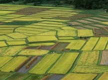 如何振兴乡村？张孝德：从读懂乡村开始