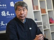 张亚中惊奇出击虽败犹荣之浅析国民党主席选战精彩一幕