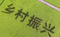 国务院九部委联合发文：鼓励引导退休的干部、教师、医生、技术人员、军人等回乡定居