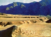 胡马新风入汉来——天下“王气”最重的地方：武川（下）